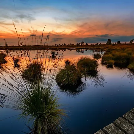 Halfway Between Near Nature Park *