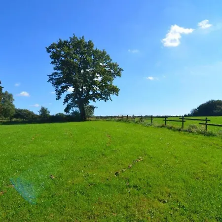 Halfway Between Near Nature Park Chalet