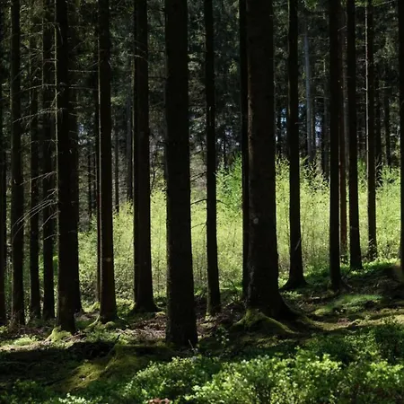 Chalet Halfway Between Near Nature Park Jalhay