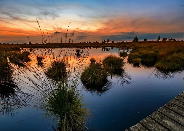 Halfway Between Near Nature Park *