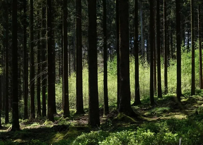 Alpesi faház Halfway Between Near Nature Park Jalhay